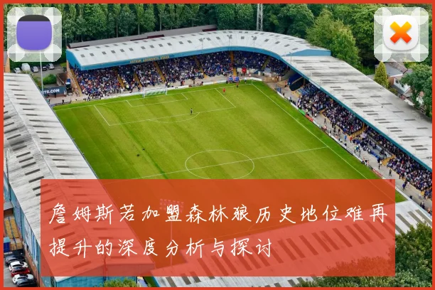 詹姆斯若加盟森林狼历史地位难再提升的深度分析与探讨